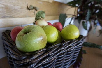 Kristinebergs Bed & Breakfast Mora